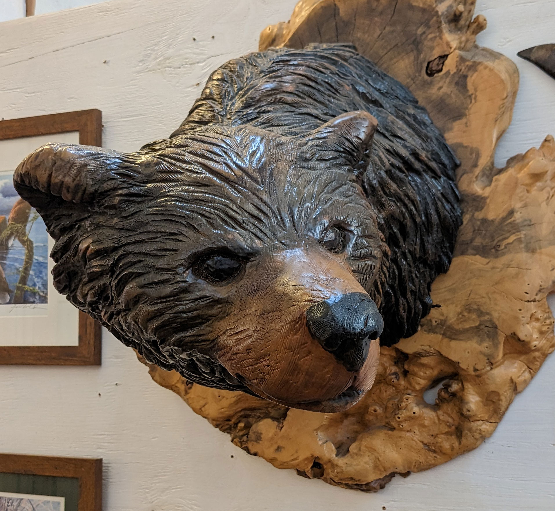 Mounted Grizzly Bear Head