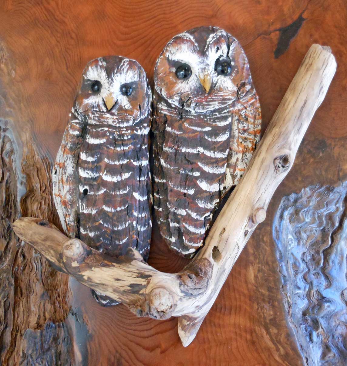 Carved Driftwood Wall Owls Forest Gems Gallery